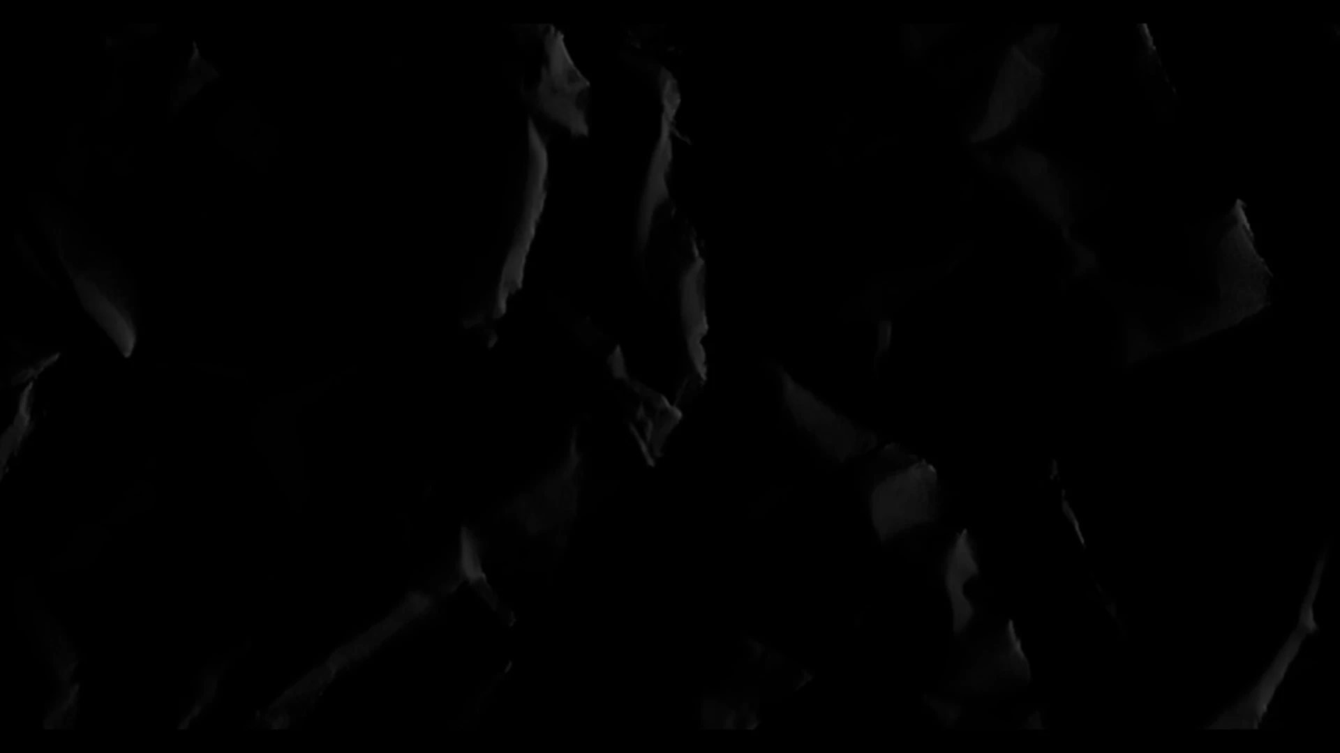 background photo